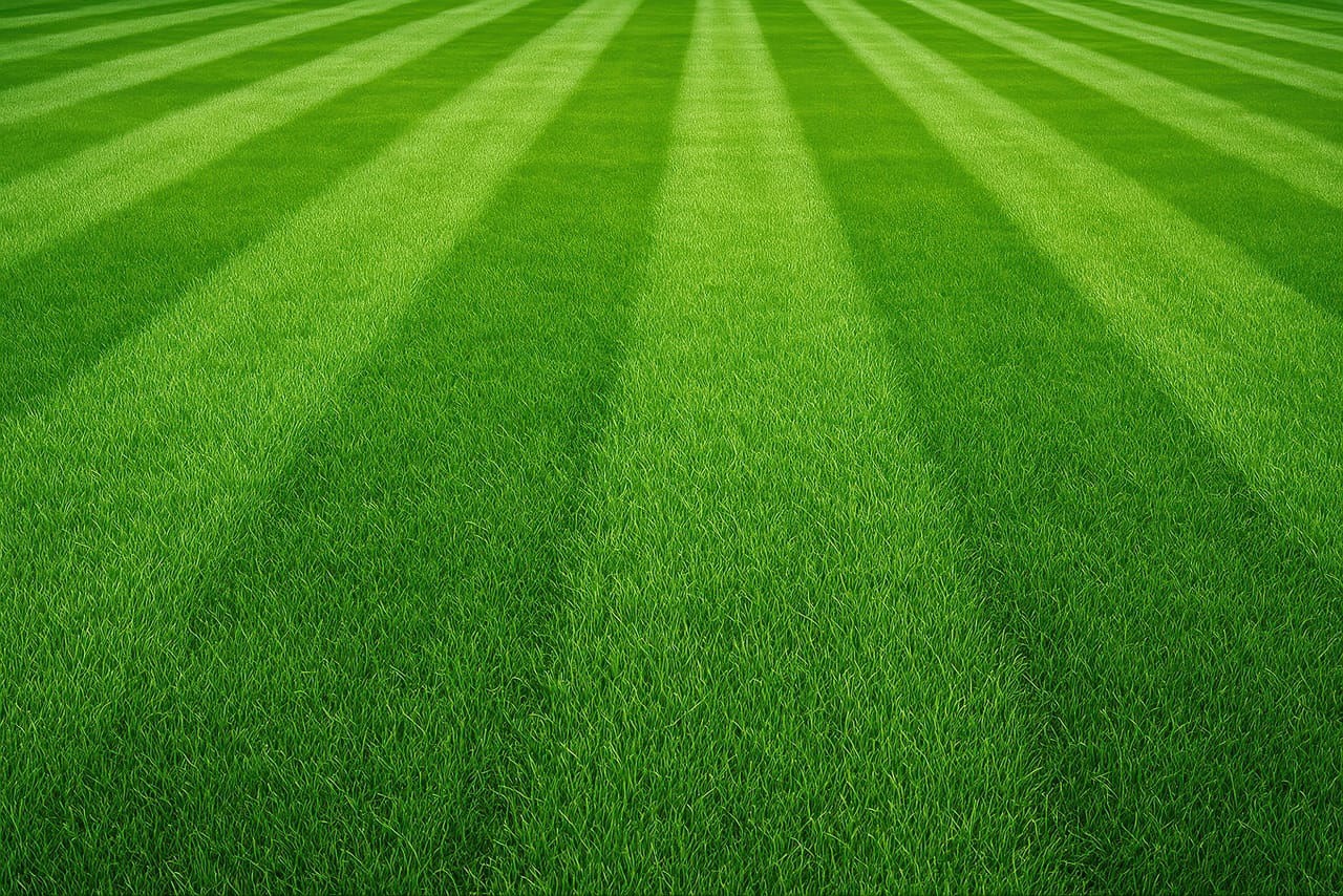 banner element